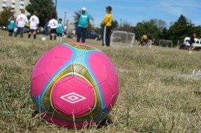 乐鱼体育网页版-为什么伊萨克转会来到利物浦，赛季初的状态变得很差？，伊萨克身价